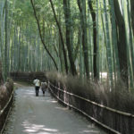 Kyoto: Arashiyama et sa forêt de bambous