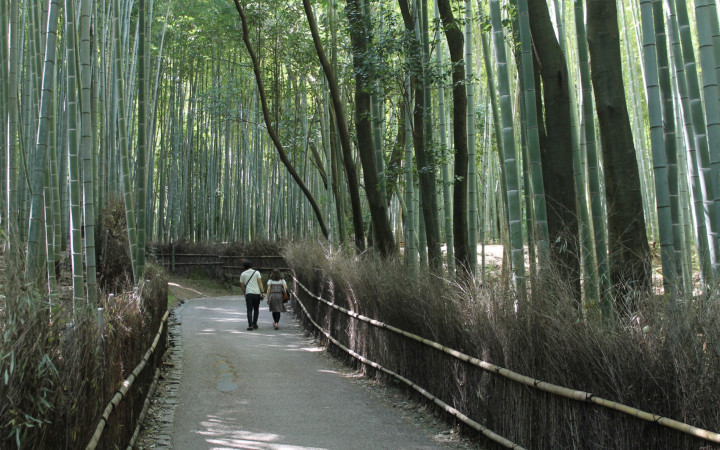 foret-de-bambous-arashiyama