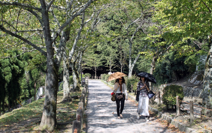 promenade-du-philosophe-kyoto