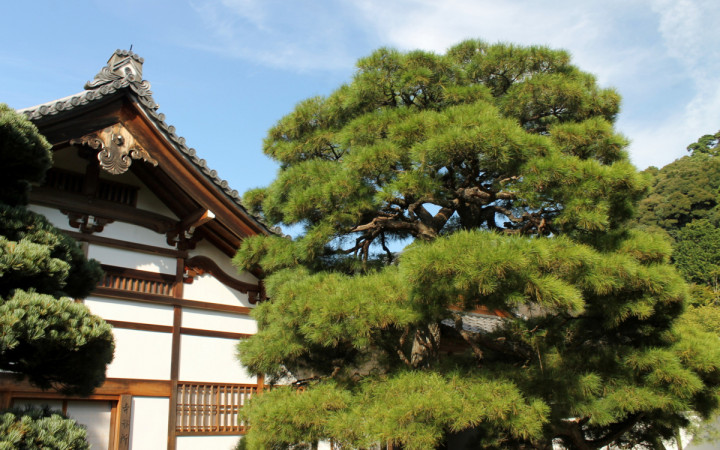 temple-ginkaku-ji-kyoto-2