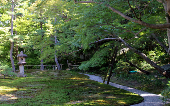 yoshiki-nara-jardin