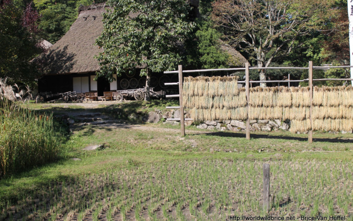 hida-no-sato-village-takayama-8