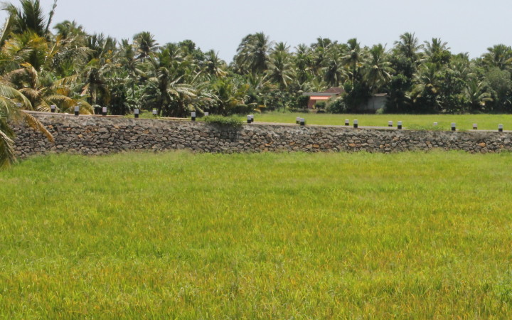 rizieres-backwaters-kerala