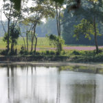 L’île de Majuli : mes premiers pas en Assam