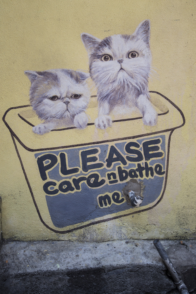 chat-street-art