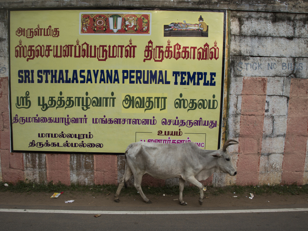 mahabalipuram-inde (1)