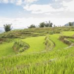 Les incroyables rizières en terrasse de Yuan Yang au Yunnan