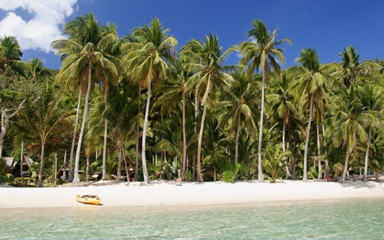 coconut-garden-resort