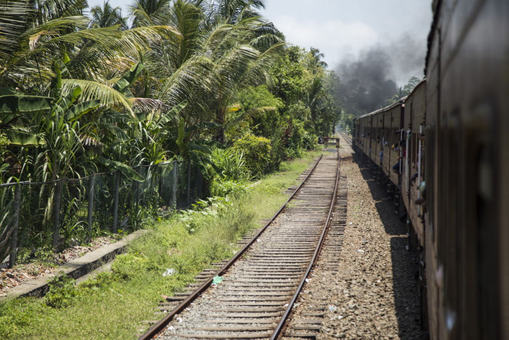 paysages-train-galle-colombo (2)