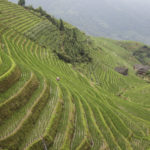 Dazhai à Ping’An – Le trek incontournable des rizières de Longji