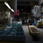 Le marché aux poissons de Tsukiji – La visite d’un marché mythique de Tokyo