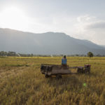 Paksé – Champassak: Ma balade en vélo dans les rizières du Sud-Laos