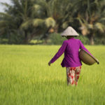 Ba Tri – Le delta du Mékong “rizières” à 30 minutes de Ben Tre