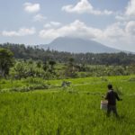 1 semaine à Bali – Conseils & Budget entre rizières, temples et plages !