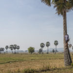 Tri Ton au Vietnam – Une magnifique (mais sombre) région Khmère du delta