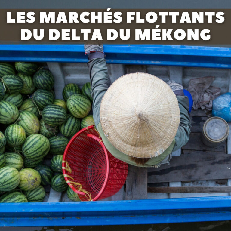 #17 – Les marchés flottants du delta du Mékong, où aller et quoi en attendre ?